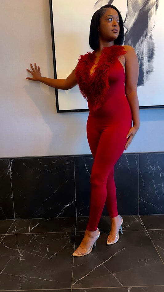 Burgundy Catsuit