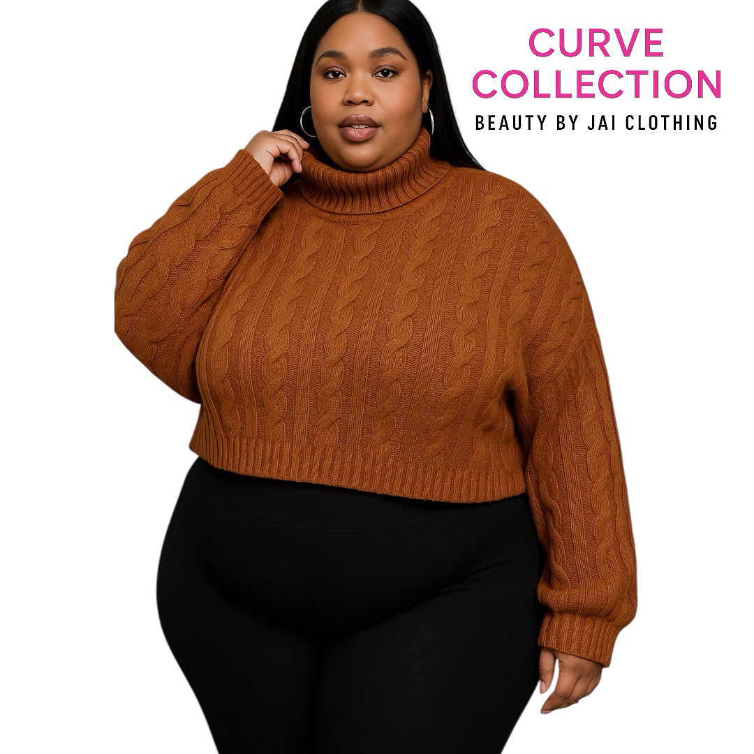 Pretty Brown Sweater